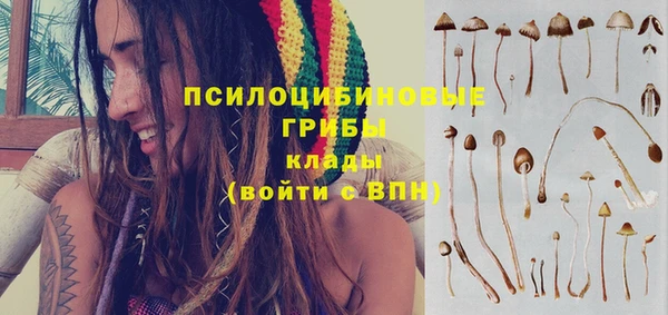 гидра Белоозёрский