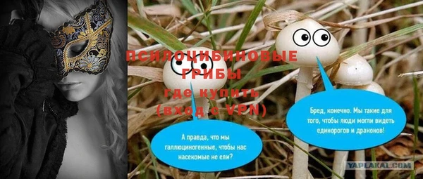 гидра Балахна