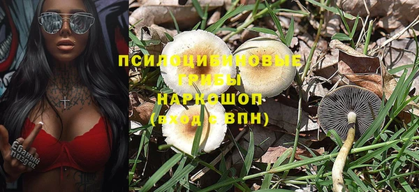 гидра Балахна