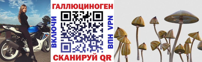 hydra вход  Фролово  Галлюциногенные грибы MAGIC MUSHROOMS  купить наркотик 